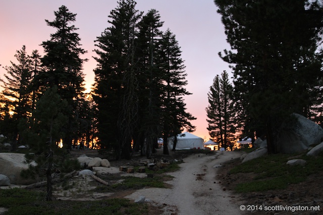 2014_Tahoe Rim Trail Enduranc Runs 1083